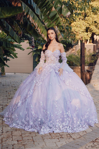 Off Shoulder Sweetheaart 3D Floral Applique Long Quinceanera Dress JTJT1459J-2