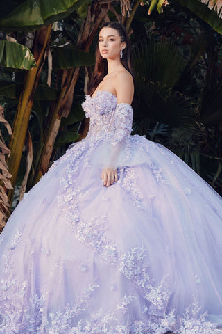 Off Shoulder Sweetheaart 3D Floral Applique Long Quinceanera Dress JTJT1459J-3