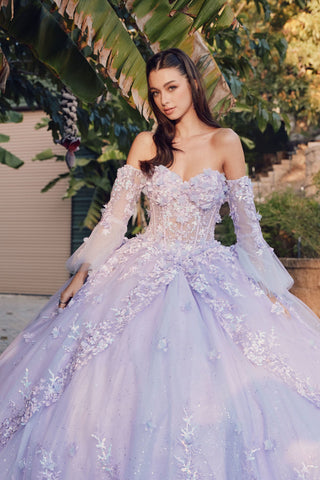 Off Shoulder Sweetheaart 3D Floral Applique Long Quinceanera Dress JTJT1459J-0