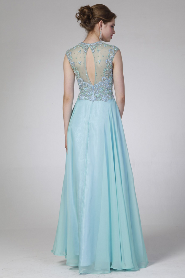 Illusion Jewel Neckline Gown-3