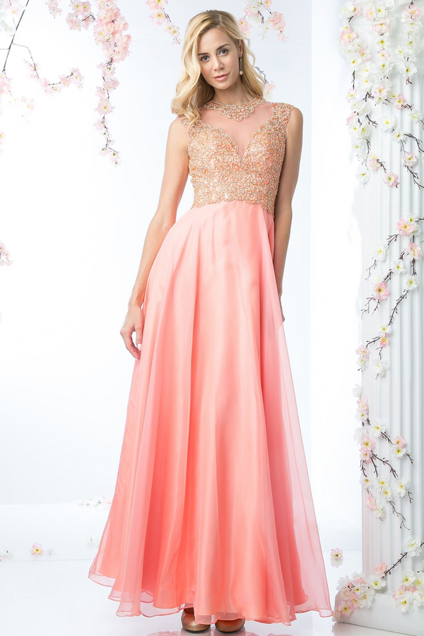 Illusion Jewel Neckline Gown-4