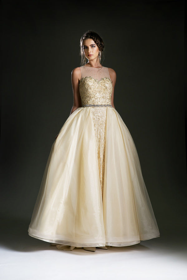 Princess dress with illusion sweetheart neckline-3