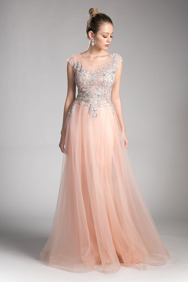 A-line tulle dress with beaded cap sleeve bodice and illusion back-0