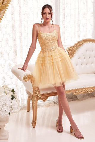 Pleated A-Line Short Dress-6