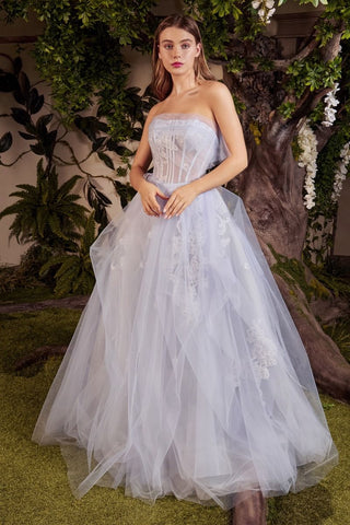 Aurora Tulle Gown-1