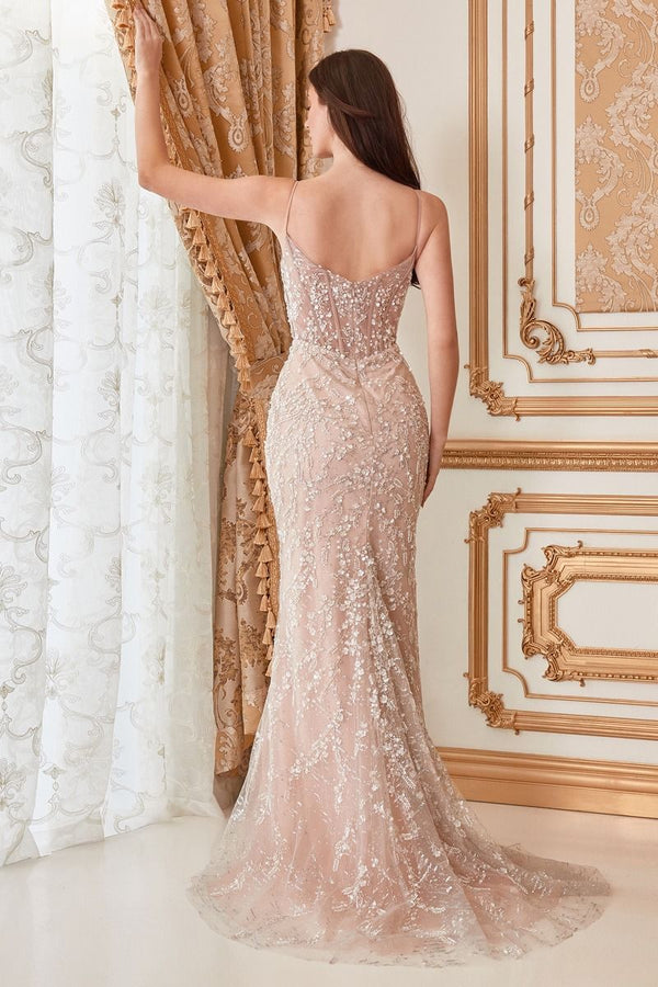 Fitted Embellished Nude Gown-1