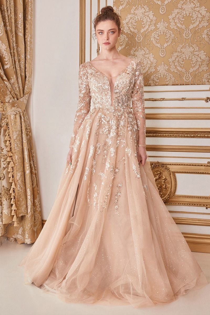 Champagne Long Sleeve Beaded A-Line Gown-0