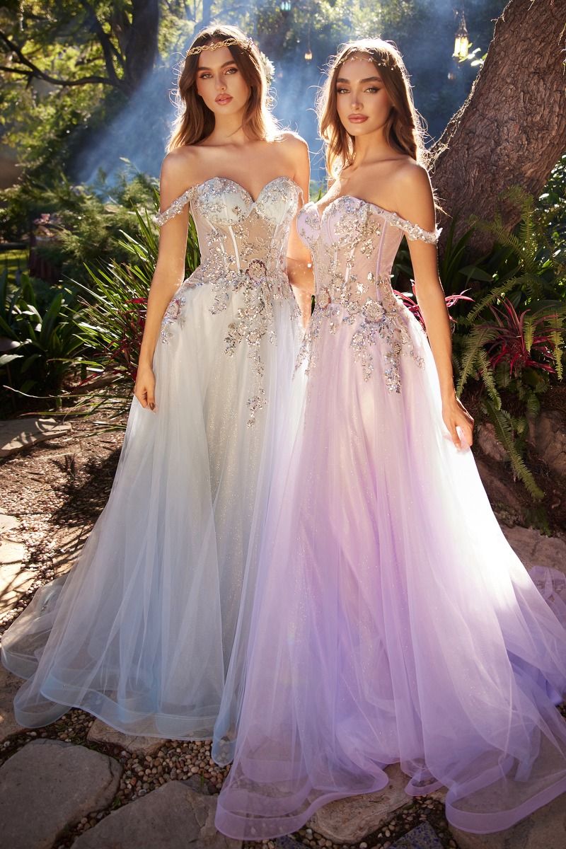 Embellished A-Line Tulle Ball Gown-0