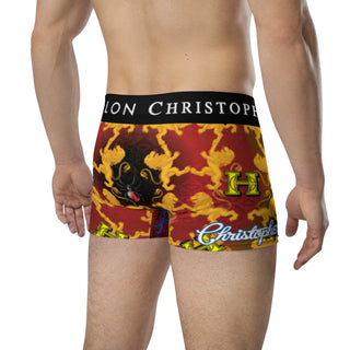 MOTORBIKE RIDER BRIEFS | UNDERWEAR | 023-5