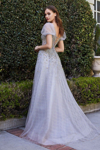 Embellished Ball Gown-2