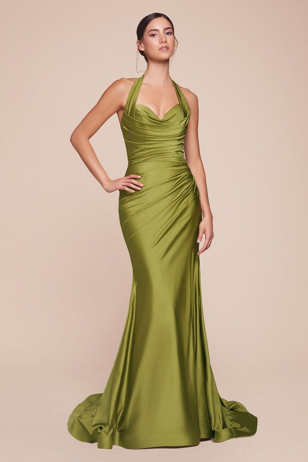 Stetch Satin Halter Fitted Dress-8