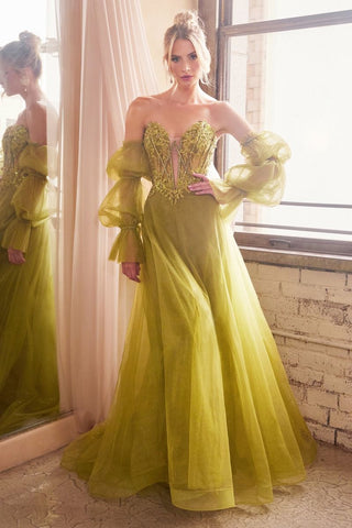 Strapless Ball Gown With Removable Sleeves-3