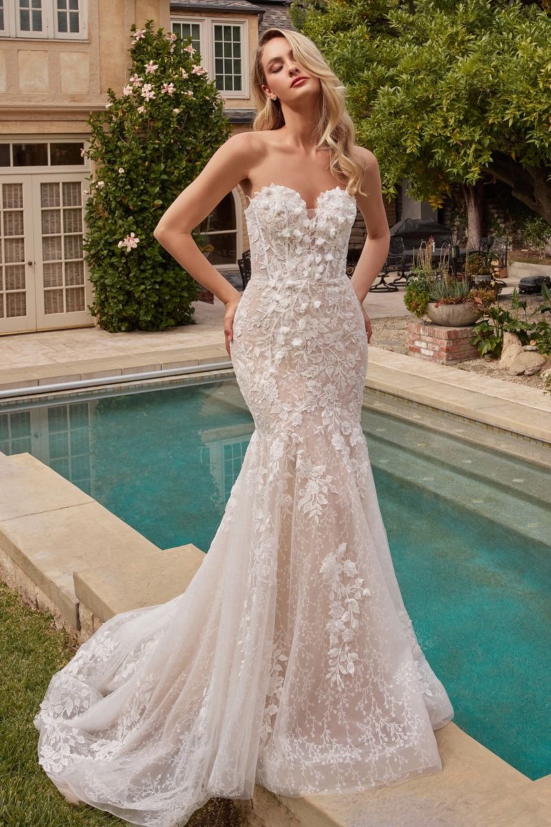 Lace Mermaid Bridal Gown With Removable Sleeves-2