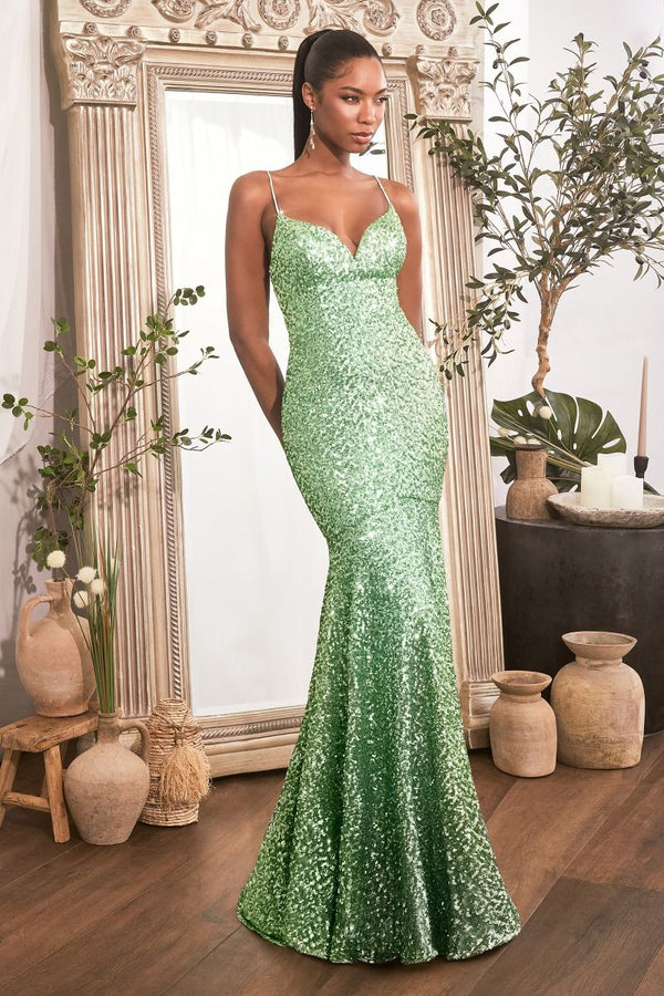 Fitted Sequin Mermaid Gown-4