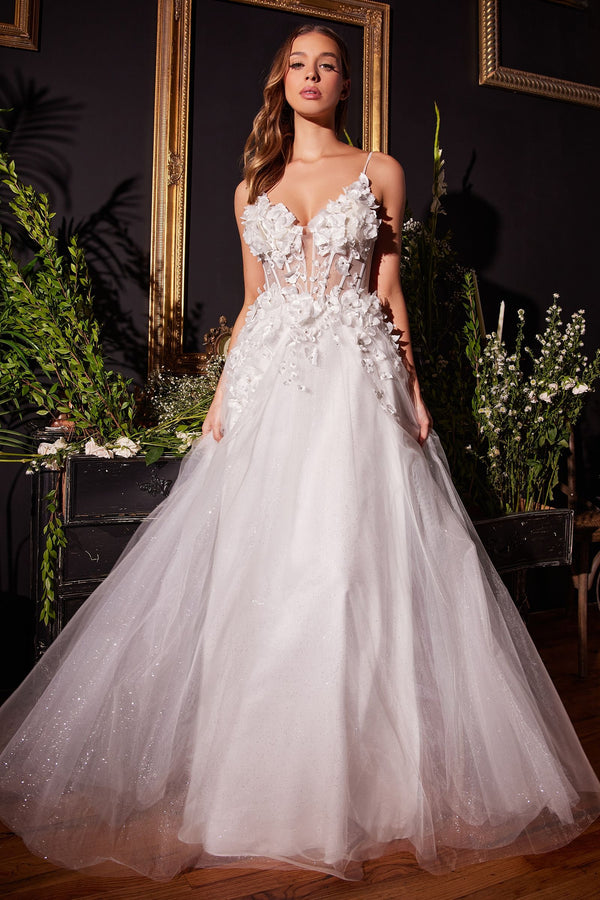 Floral Applique A-Line Tulle Bridal Gown-0