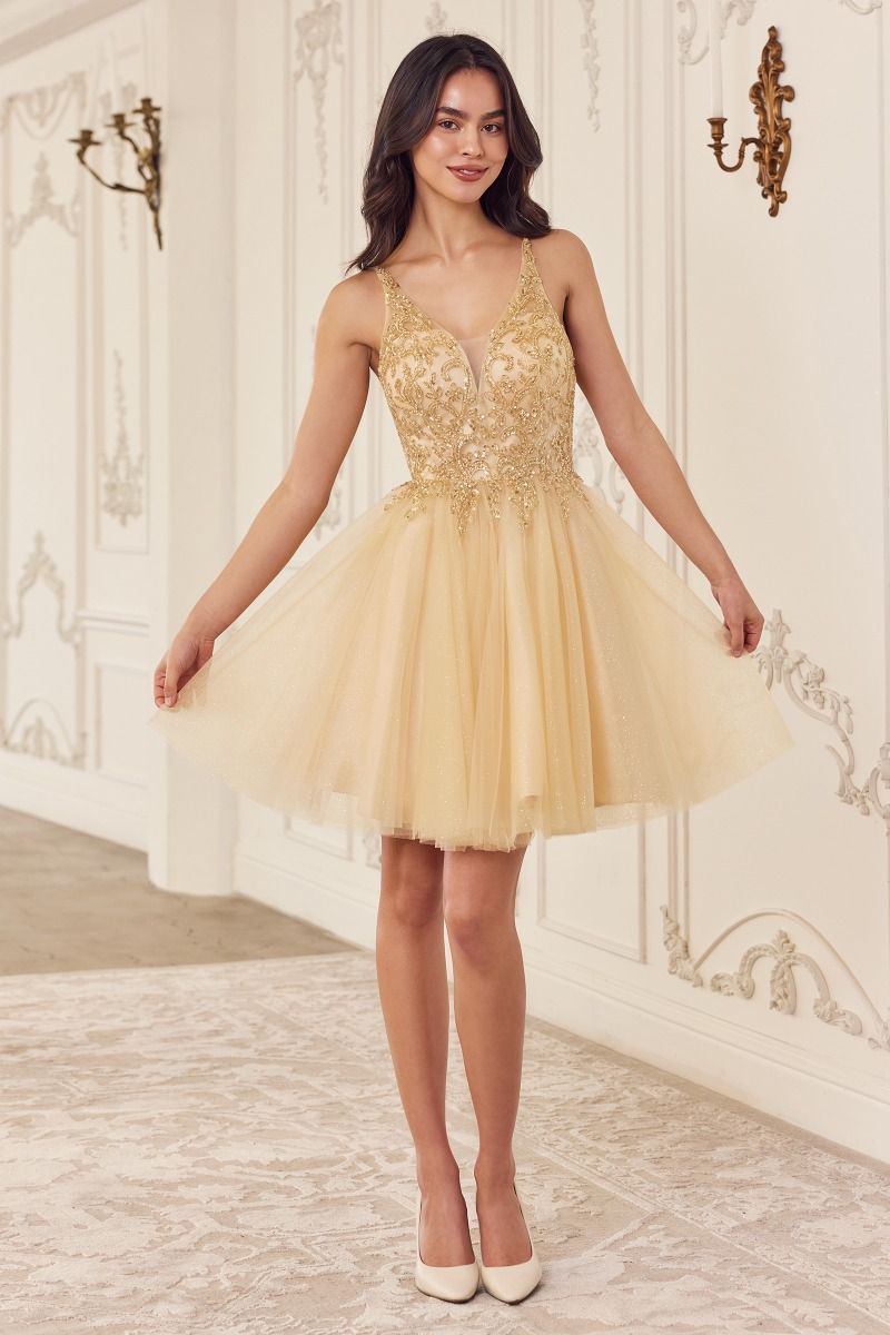 Beaded A-Line Layered Tulle Short Dress-2