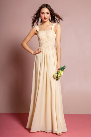 Sleeveless Chiffon Floor Length Dress-3