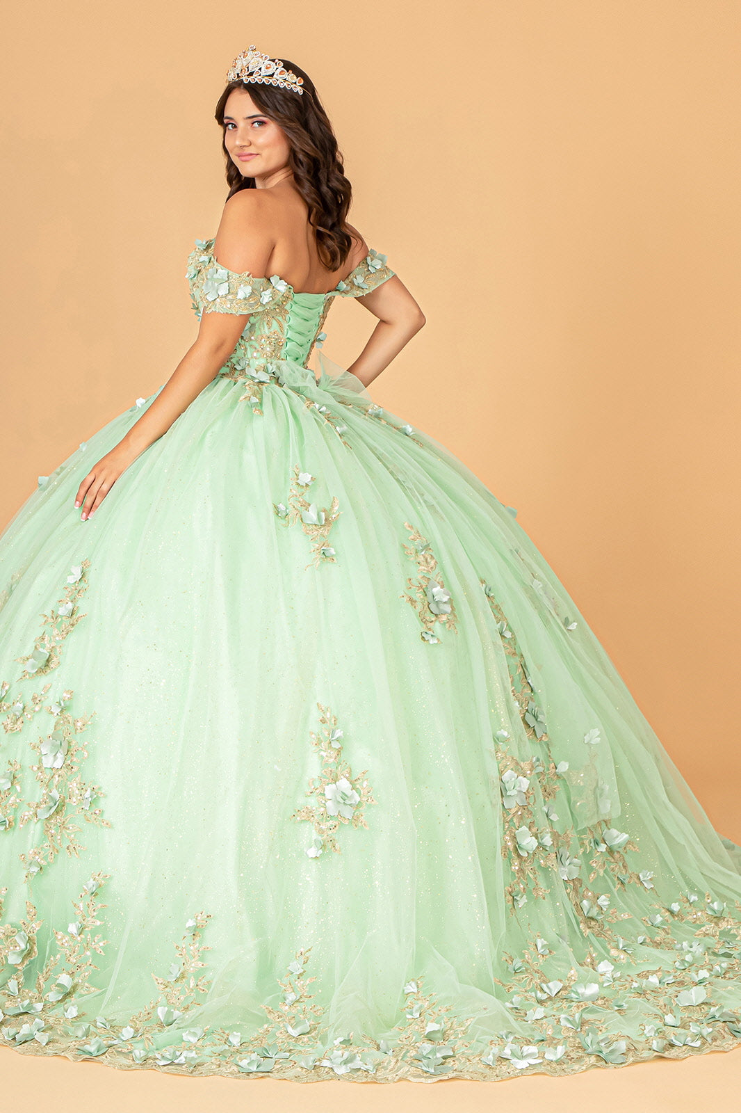 3D Flower Applique Sweetheart Neckline Mesh Quinceanera Ball Dress GLGL3102-1