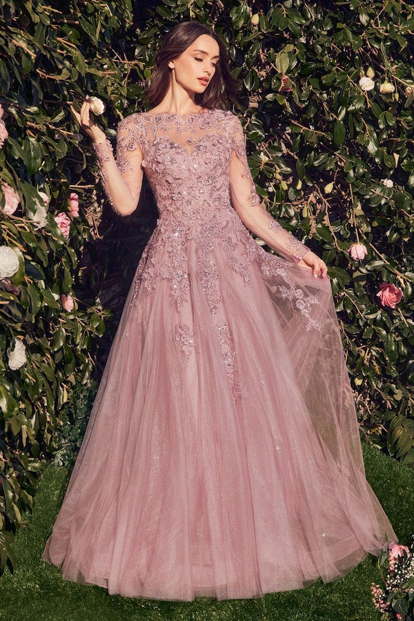 Lace Layered Tulle Long Sleeve Gown-1