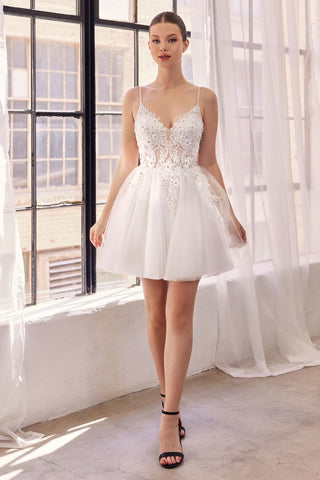 Lace Bodice A-Line Layered Tulle Short Dress-7