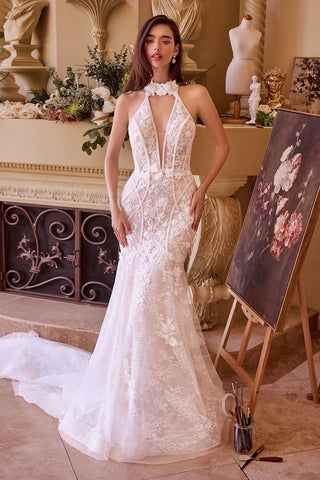 Lace Halter Neck Mermaid Wedding Dress-0