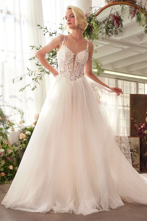 Lace & Tulle Bridal Ball Gown-0