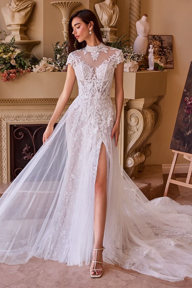 Lace & Tulle Short Sleeve Wedding Gown-0