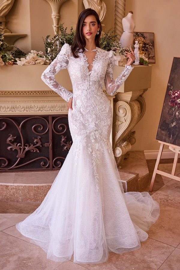 Long Sleeve Lace Mermaid Bridal Gown-0