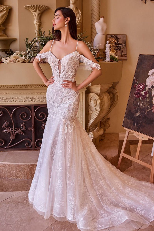 Fitted Lace Mermaid Wedding Dress-1