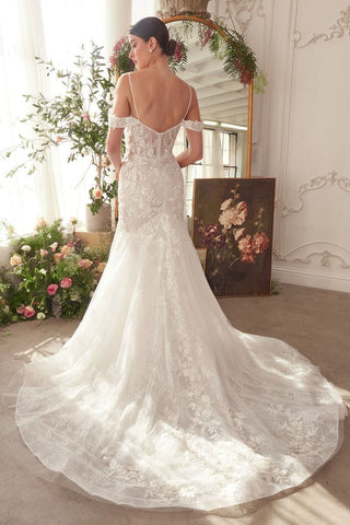 Fitted Lace Mermaid Wedding Dress-4