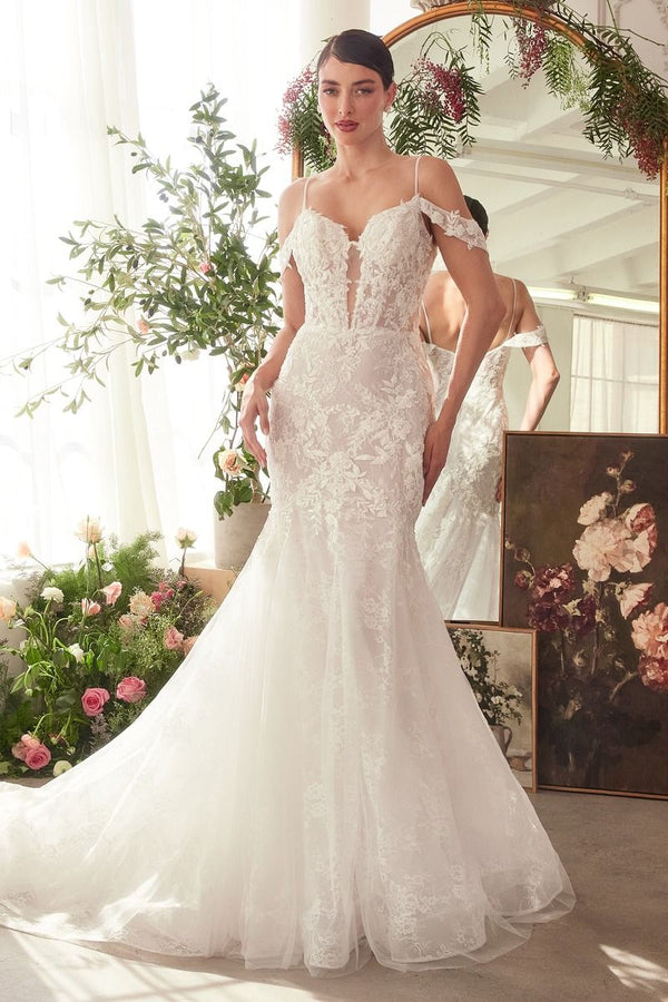 Fitted Lace Mermaid Wedding Dress-0