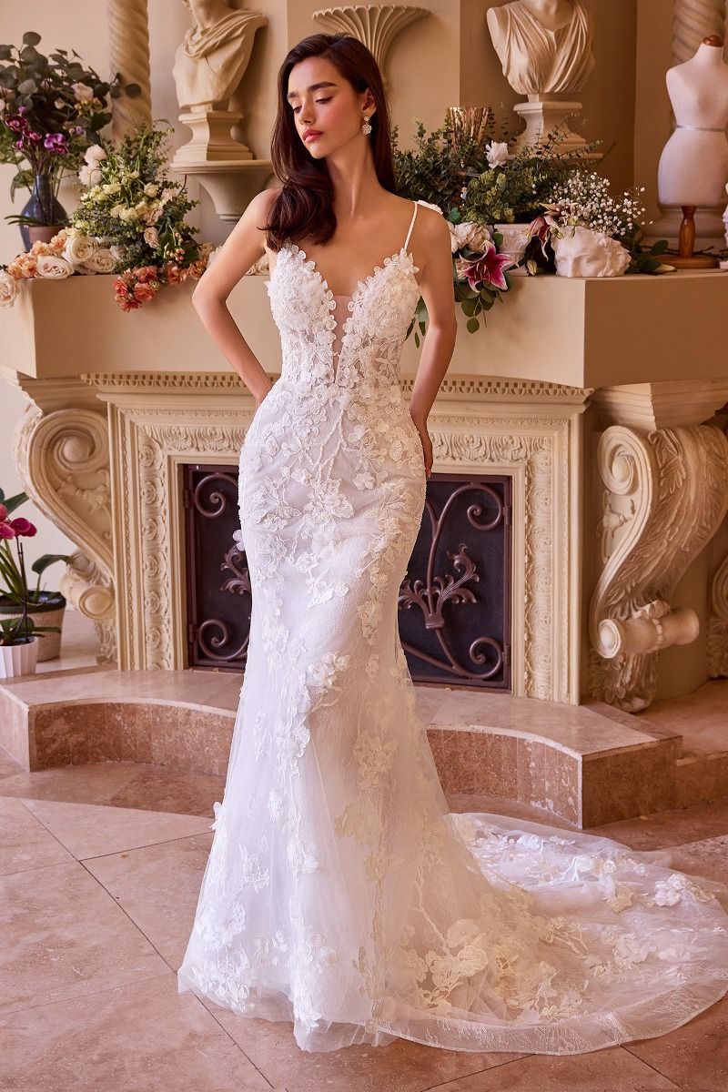 Fitted Lace Wedding Gown-0